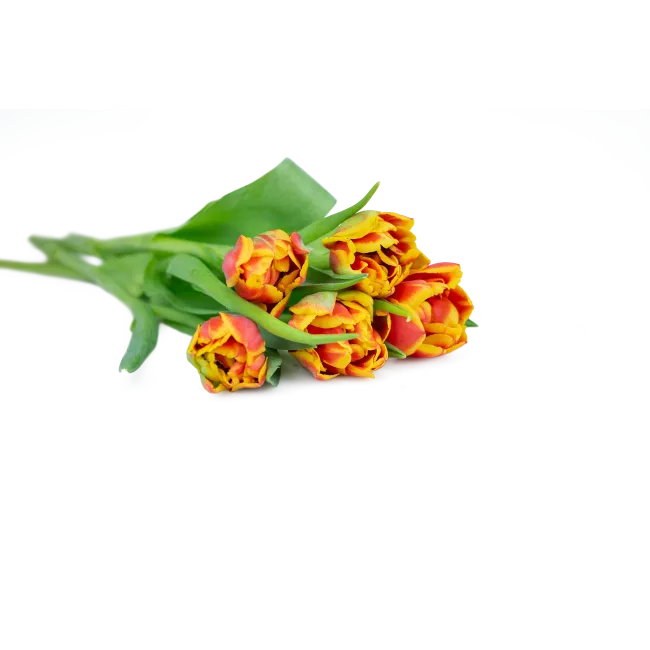 Custom Double Tulip Bouquet